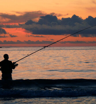 Pesca surcasting desde la playa